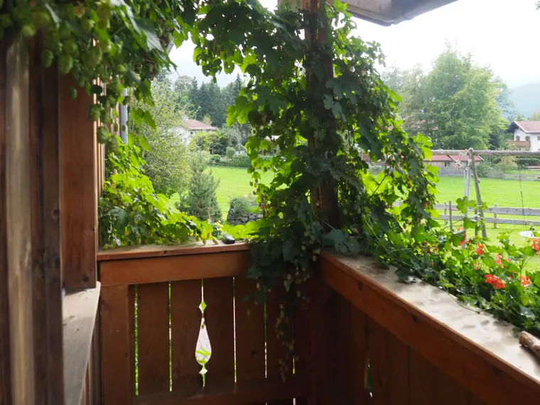 Blick vom begrünten Balkon ins Tal