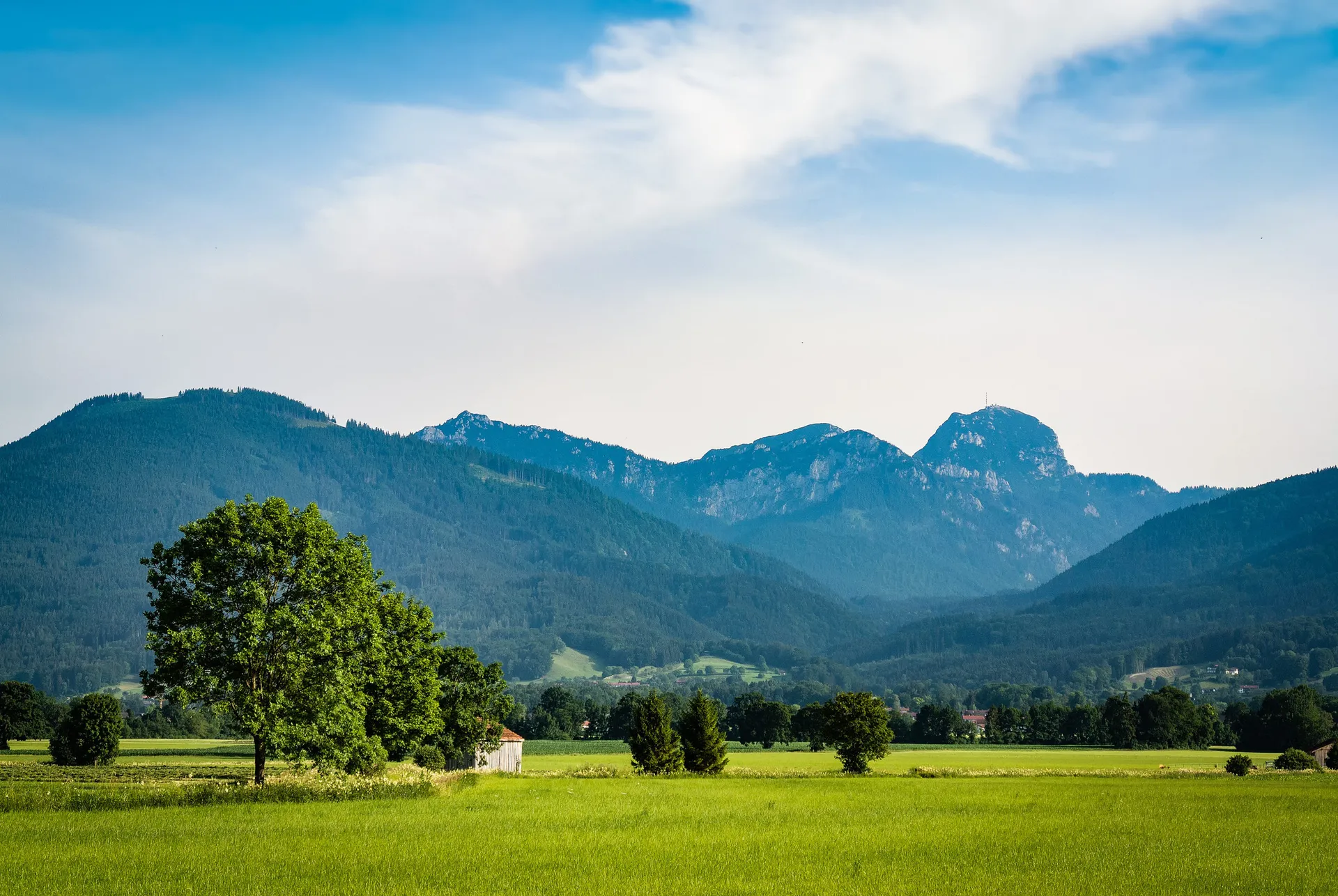Alpenpanorama über den Wiesen im Leitzachtal