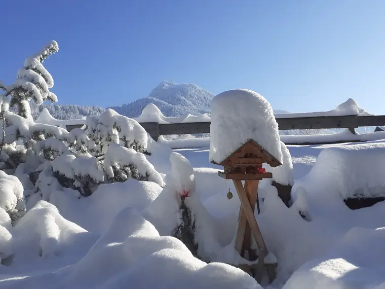 Winterlandschaft am Hof